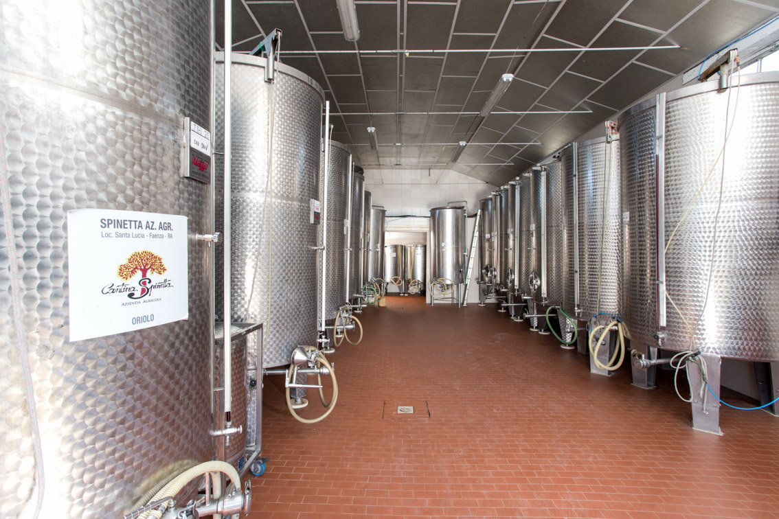 Cantina Spinetta Vini Romagna