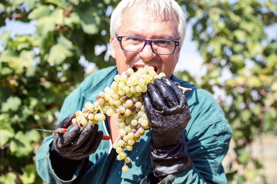 Cantina Spinetta Vini Romagna