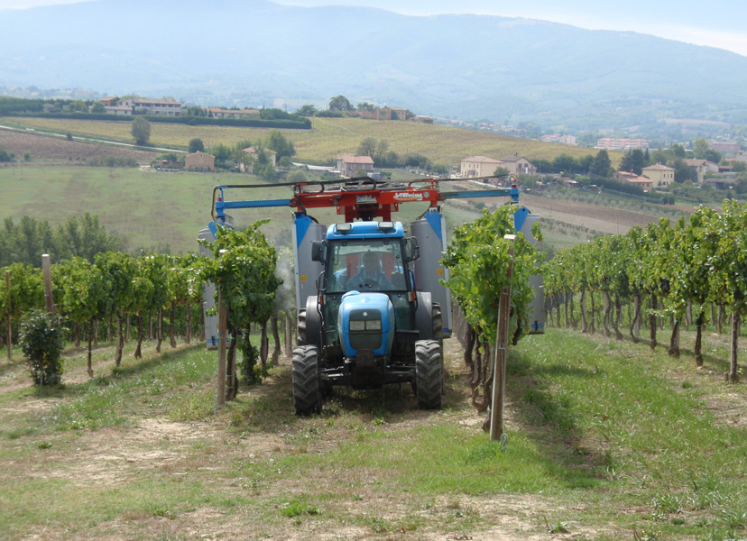 Azienda Agricola Spinetta di Monti e Altri S.S.