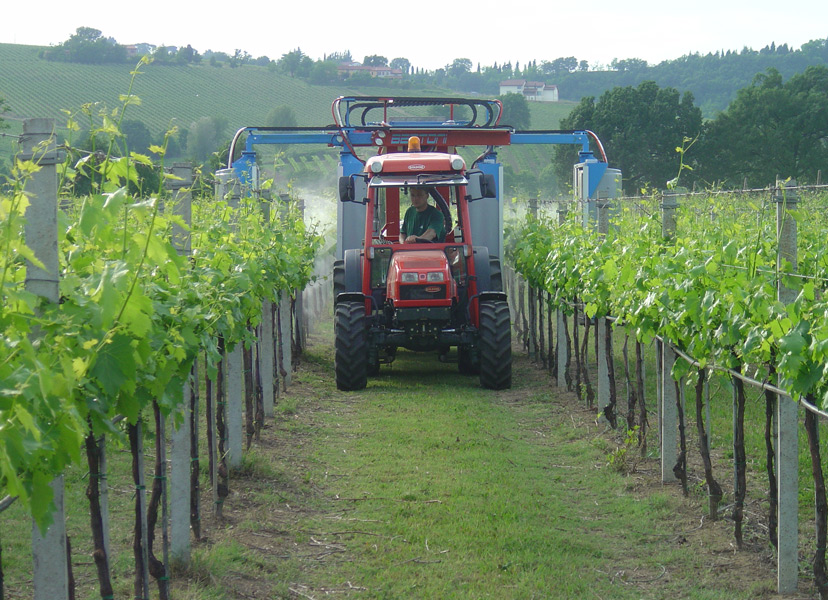 Azienda Agricola Spinetta di Monti e Altri S.S.