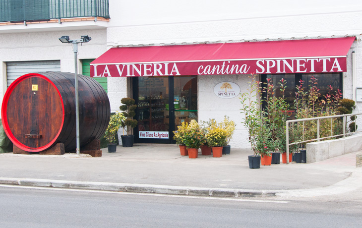Punto Vendita di Ponte Nuovo - Cantina Spinetta