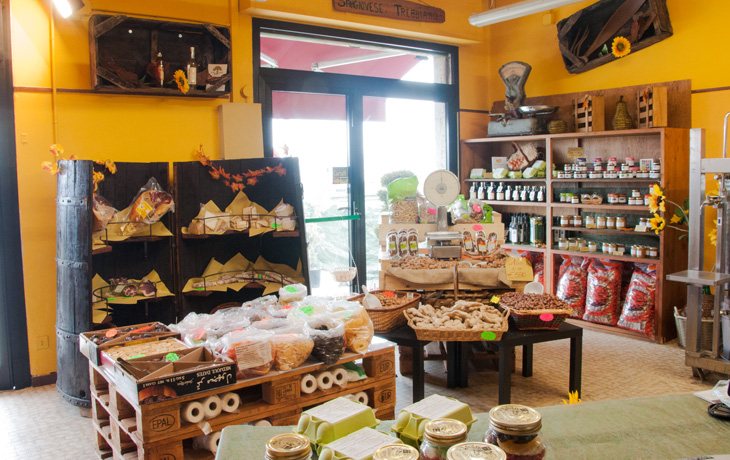 Punto Vendita di Ponte Nuovo - Cantina Spinetta