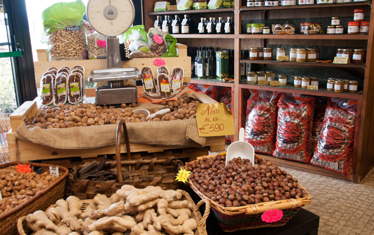 Punto Vendita di Ponte Nuovo - Cantina Spinetta